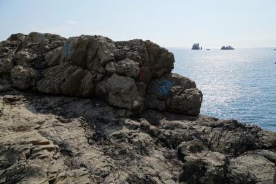 Прикрепленное изображение: A58DSC02137-1.jpg